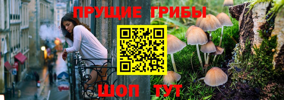 Псилоцибиновые грибы мицелий  Вход с VPN  Гатчина 