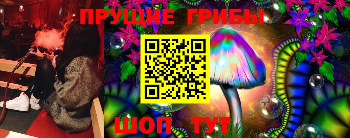 Псилоцибиновые грибы Magic Shrooms Гатчина