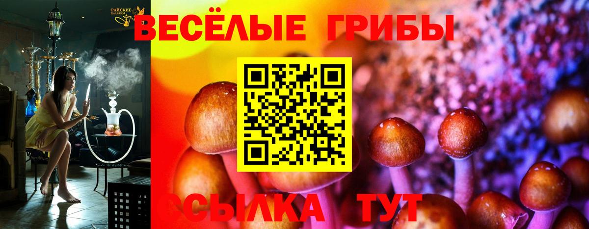 Конопля  ГАШИШ  ГАШ  Гатчина  Alpha-PVP СОЛЬ кристаллы  Меф   Меф   МДМА 