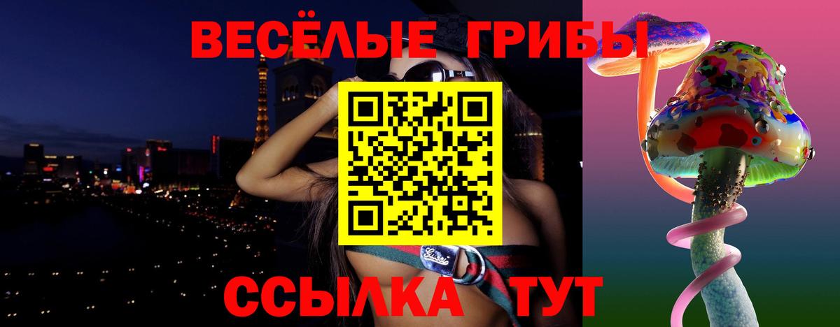 Галлюциногенные грибы прущие грибы  Гатчина  Галлюциногенные грибы ЛСД 